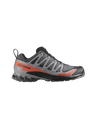 SALOMON | Herren Multifunktionsschuhe XA Pro 3D V9 GTX | 